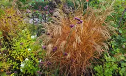 DSCF7660 (3).webp