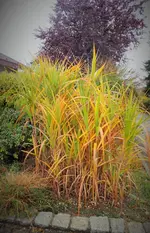 DSCF7666 (3).webp