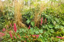 DSCF7671 (2).webp