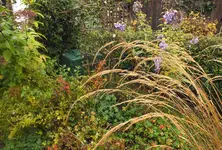 DSCF7674 (2).jpg