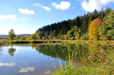 2016-10-16-9855 - Kopie.webp