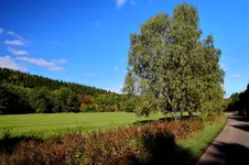 2016-10-16-9861 - Kopie.webp