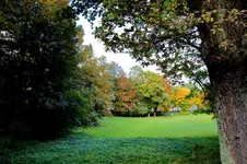 2016-10-16-9864 - Kopie.jpg