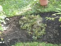 BILD5976.webp