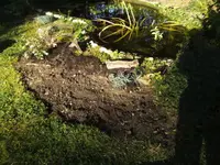 BILD5977.webp