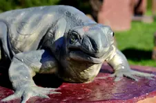 2016-10-16-9854.webp