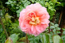 2016_1015163okt0002.webp