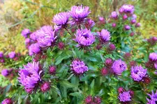 DSCF7631 (2).webp