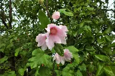DSCF7663 (2).webp