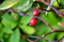 2016-10-14-9785.webp