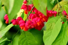 2016-10-14-9793.webp