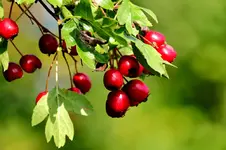 2016-10-14-9803.webp