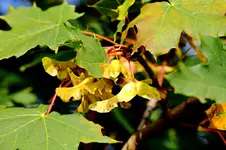 2016-10-14-9805.webp