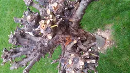 20161019_151919.webp