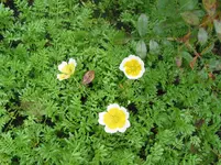 IMG_7498.webp