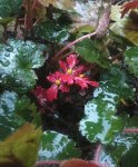 IMG_20161019_183753.jpg