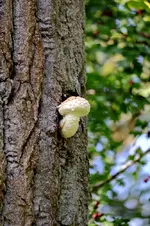 2016-10-14-9802.webp