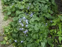 BILD5957.webp