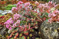 DSCF7633 (2).webp