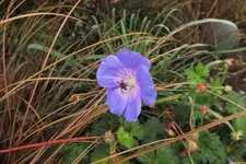 DSCF7646 (2).webp
