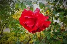DSCF7648 (2).jpg