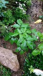 20161020_090334_resized.webp