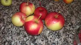 20161021_003144_resized.webp