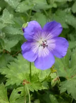 P1020108.webp