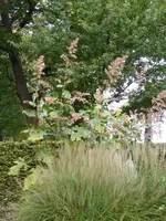 P1020110.webp