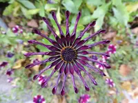 P1020118.webp