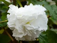 P1020121.webp