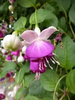 P1020123.webp