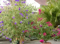 P1020124.webp