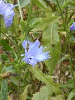 P1020135.webp