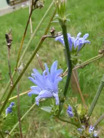 P1020136.jpg