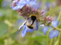 P1020149.jpg