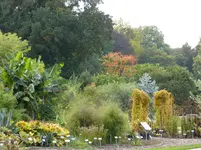 P1020154.jpg