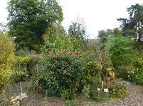 P1020155.webp