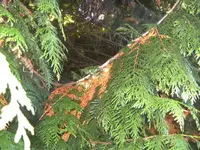 BILD5968.webp