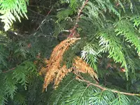 BILD5969.webp