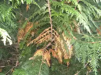 BILD5970.webp