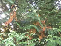 BILD5971.webp