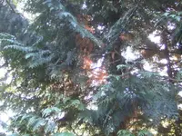 BILD5972.webp