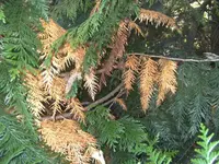 BILD5974.webp