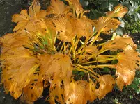 IMG_7507.jpg