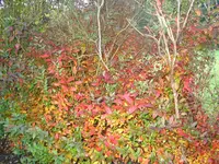 IMG_7511.webp