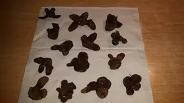 20161021_184514.webp