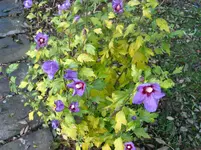 IMG_7509.webp