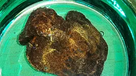 20161021_205303.webp