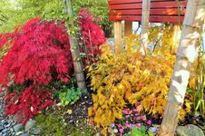DSCF7690 (2).webp